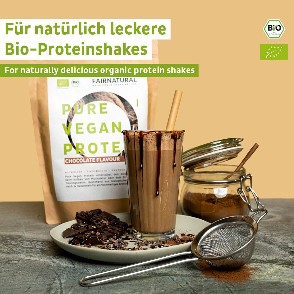 Bio Veganes Proteinpulver Schoko ohne Soja